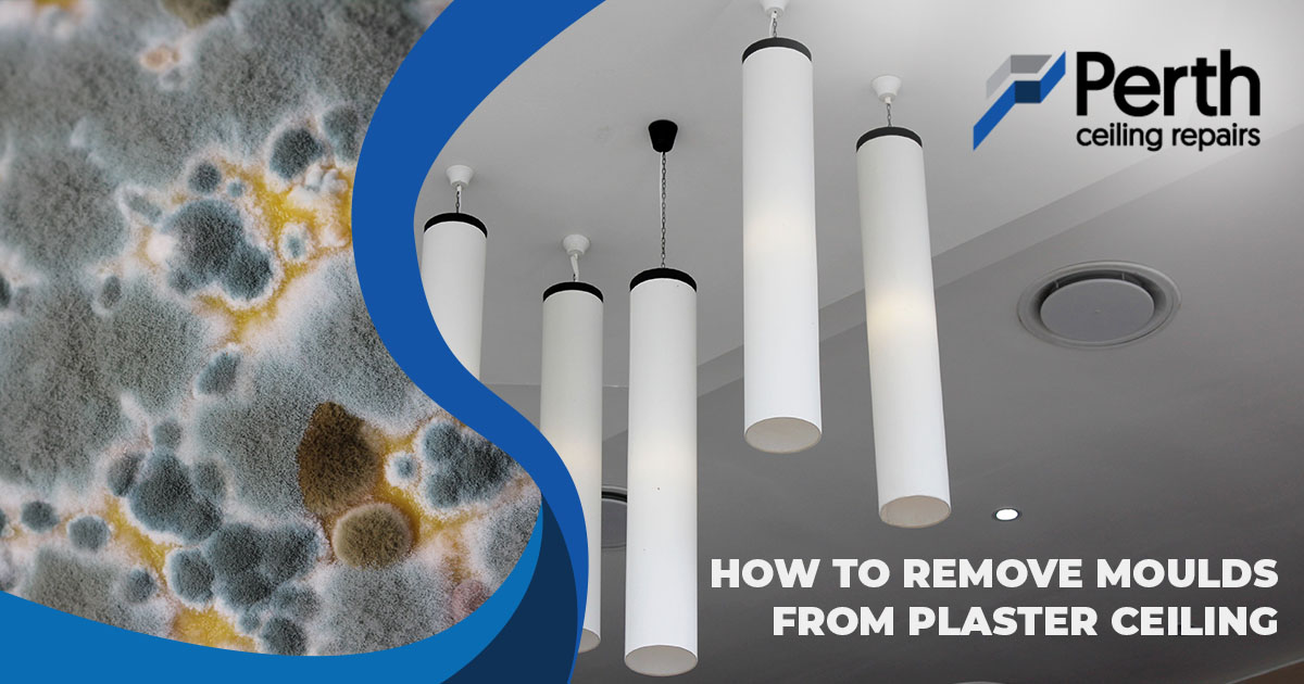 How to Remove Mould from Plaster Ceiling