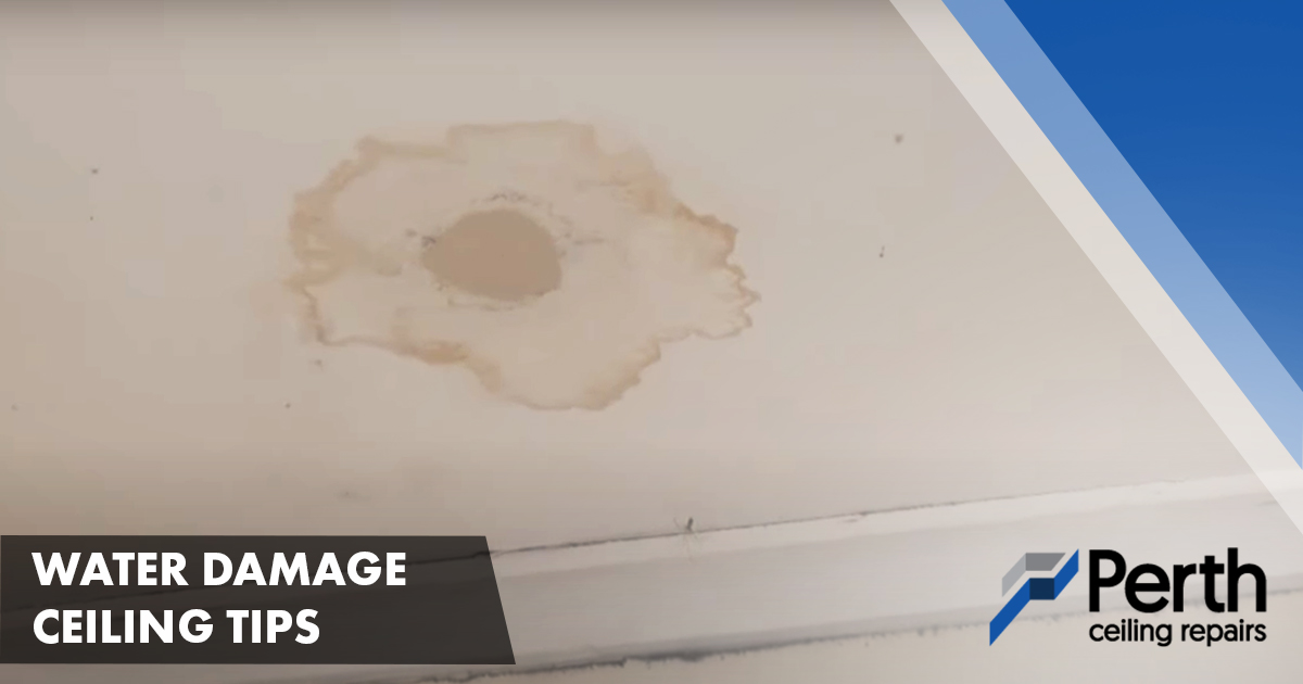 Water Damaged Ceiling? Here’s What to Do